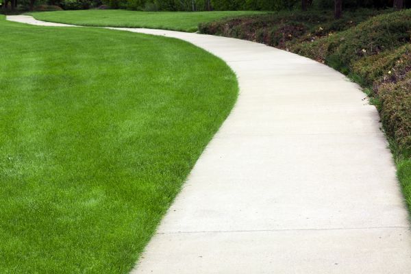 Pathway Construction in Issaquah