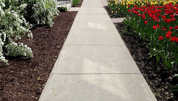 Cement Sidewalk Installation in Issaquah