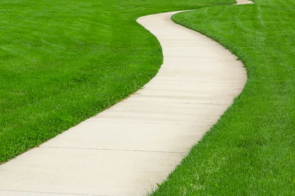 Walkway Building in Issaquah