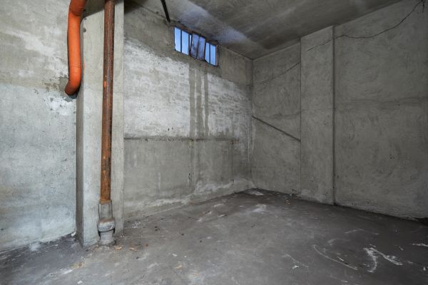Basement Wall Construction in Issaquah