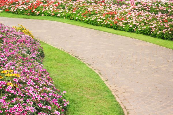 Concrete Walkway Service in Issaquah