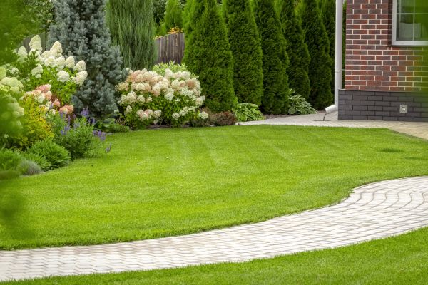 Landscape Walkway Installation in Issaquah